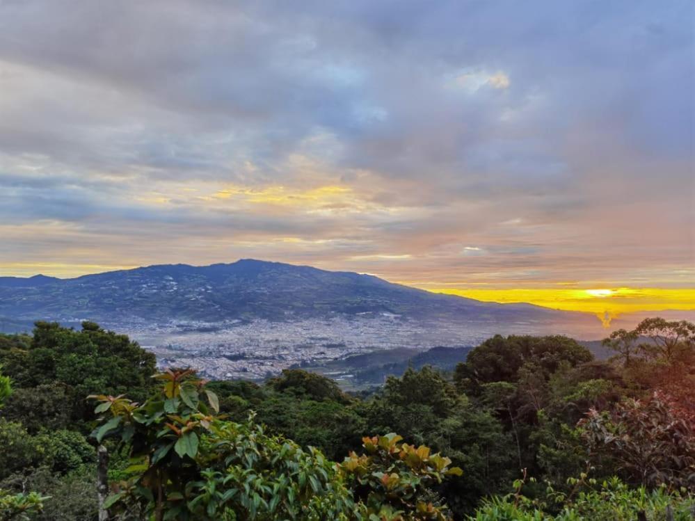Escapadita Al Bosque San Isidro (Cartago) Exterior foto