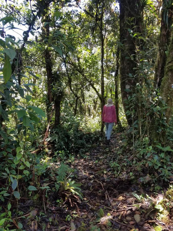 Escapadita Al Bosque San Isidro (Cartago) Exterior foto