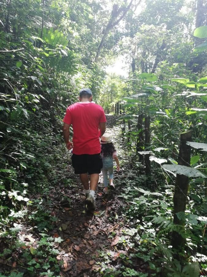 Escapadita Al Bosque San Isidro (Cartago) Exterior foto