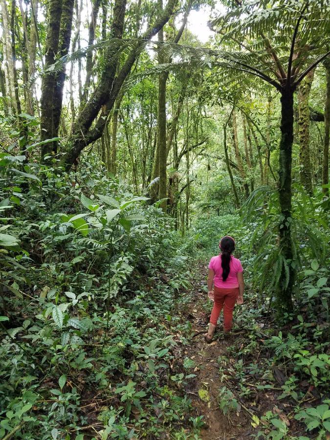 Escapadita Al Bosque San Isidro (Cartago) Exterior foto