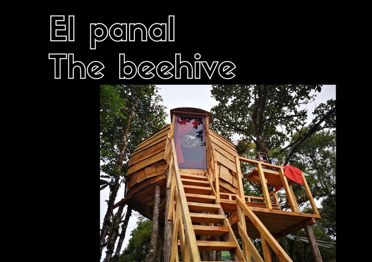 Escapadita Al Bosque San Isidro (Cartago) Exterior foto